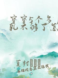 宝宝5个多月母乳不够了怎么办