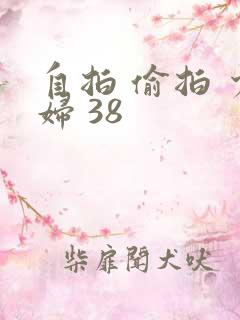 自拍 偷拍 少妇 38