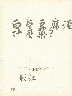 白带豆腐渣状用什么药?