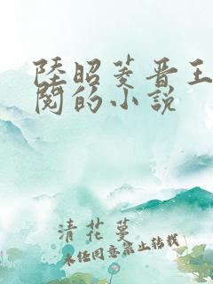 陆昭菱晋王周时阅的小说