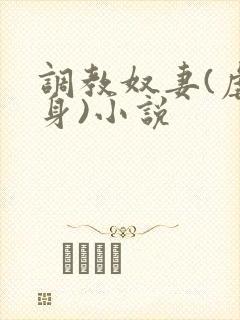 调教奴妻(虐女身)小说