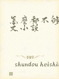 怎么都不够她全文小说