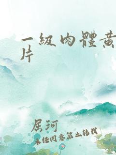 一级肉体黄色裸片
