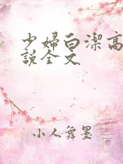 少妇白洁高义小说全文
