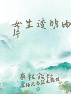 女生透明内裤照片