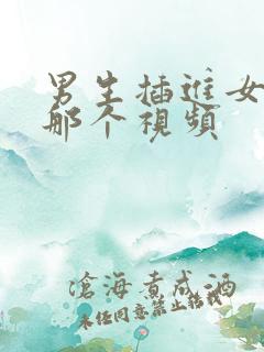 男生插进女生的那个视频