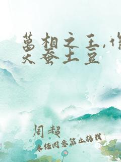 万相之王,作者天蚕土豆