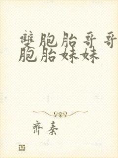 双胞胎哥哥和双胞胎妹妹