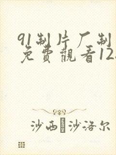 91制片厂制片免费观看128