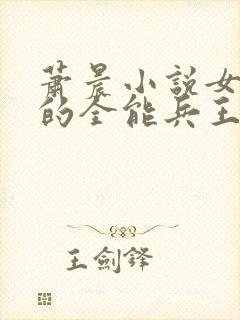 萧晨小说女总裁的全能兵王