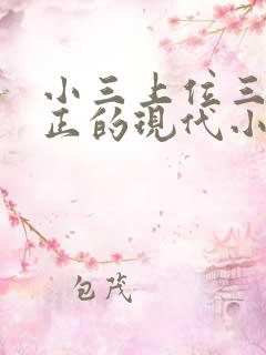 小三上位三观不正的现代小说