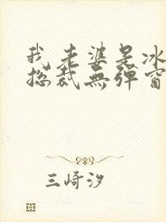 我老婆是冰山女总裁无弹窗