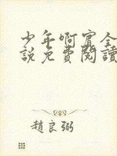 少年啊宾全文小说免费阅读笔趣阁