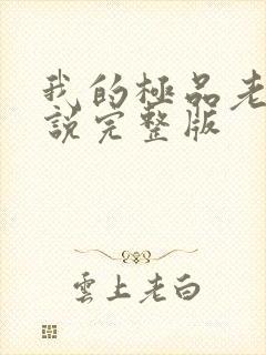 我的极品老婆小说完整版