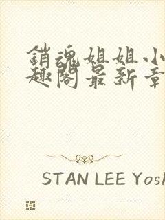 销魂姐姐小说笔趣阁最新章节