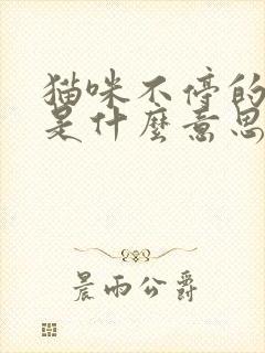 猫咪不停的踩奶是什么意思