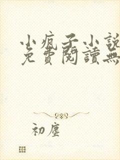 小疯子小说全文免费阅读无弹窗