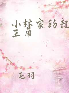 小林家的龙女仆主角