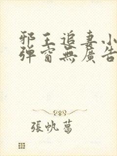 邪王追妻小说无弹窗无广告