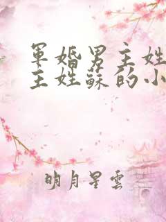 军婚男主姓顾女主姓苏的小说