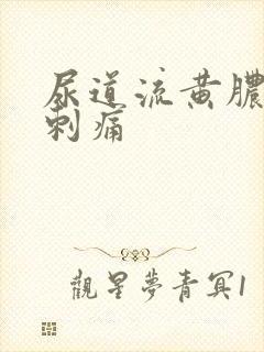 尿道流黄脓有点刺痛