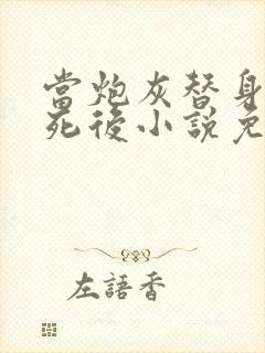 当炮灰替身的我死后小说免费阅读