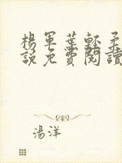 杨军叶轻柔的小说免费阅读无弹窗