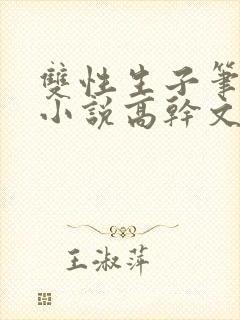 双性生子笔趣阁小说高干文