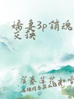 娇妻3p销魂的交换