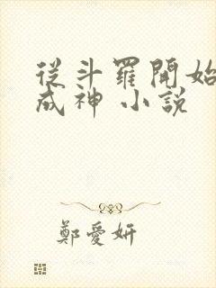 从斗罗开始逆天成神 小说