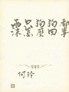 两只狗狗都吐白沫怎么回事