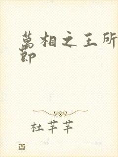 万相之王所有章节