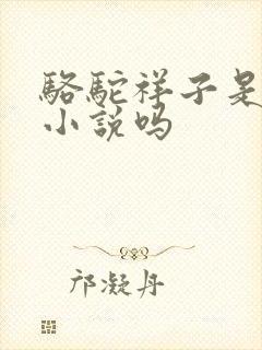 骆驼祥子是京味小说吗