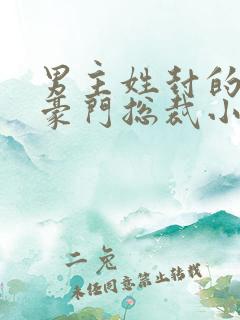 男主姓封的所有豪门总裁小说