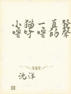 小猫一直发出呼噜呼噜的声音是怎么回事