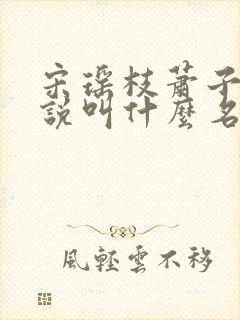 宋瑶枝萧子骞小说叫什么名字