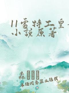 11处特工皇妃小说原著