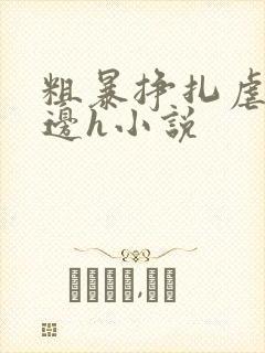 粗暴挣扎虐哭强边h小说