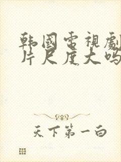 韩国电视剧伦理片尺度大吗