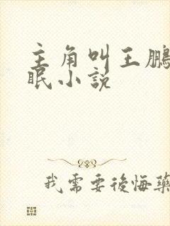 主角叫王鹏的催眠小说