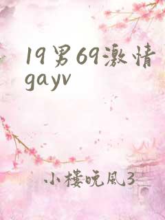 19男69激情gayv