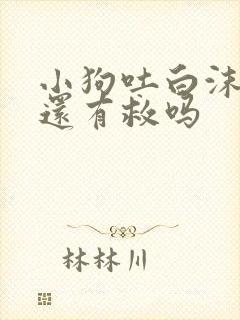 小狗吐白沫拉血还有救吗