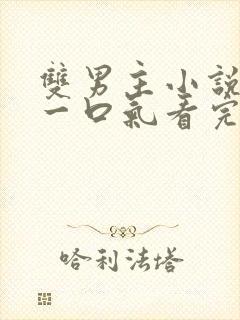 双男主小说推文一口气看完甜文