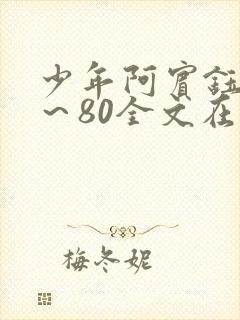 少年阿宾钰慧1～80全文在