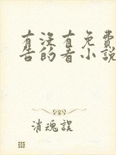 有没有免费无广告的看小说软件