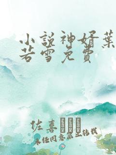 小说神婿叶凡唐若雪免费