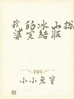 我的冰山总裁老婆完结版