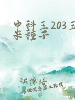 中科玉203玉米种子
