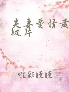 夫妻爱情黄色一级片