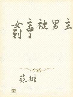 女主被男主们找到了